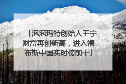 泡泡玛特创始人王宁财富再创新高，进入福布斯中国实时榜前十