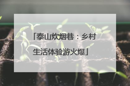 泰山炊烟巷：乡村生活体验游火爆