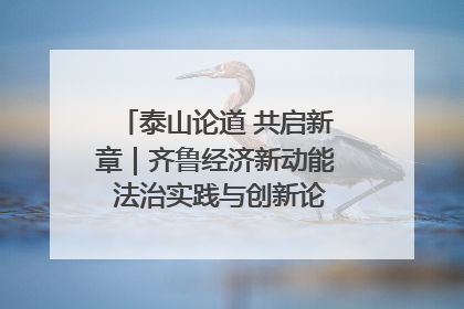 泰山论道 共启新章｜齐鲁经济新动能 法治实践与创新论坛成功举办