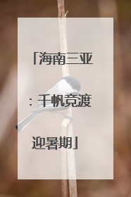 海南三亚：千帆竞渡迎暑期