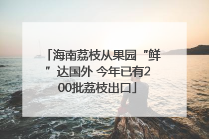 海南荔枝从果园“鲜”达国外 今年已有200批荔枝出口