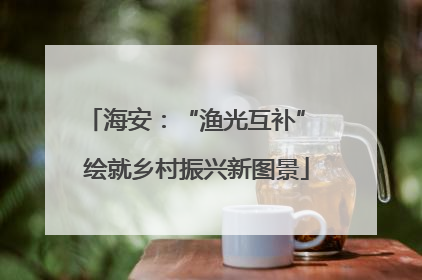 海安：“渔光互补” 绘就乡村振兴新图景