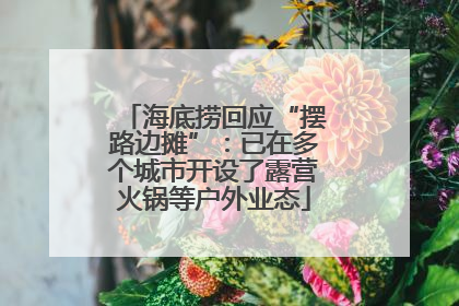 海底捞回应“摆路边摊”：已在多个城市开设了露营火锅等户外业态