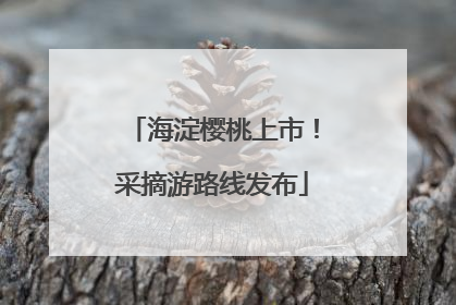 海淀樱桃上市！采摘游路线发布