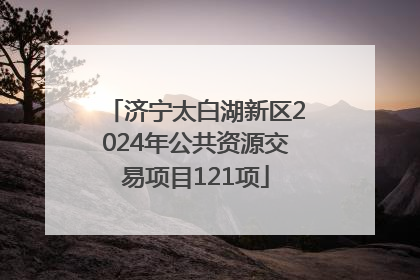 济宁太白湖新区2024年公共资源交易项目121项
