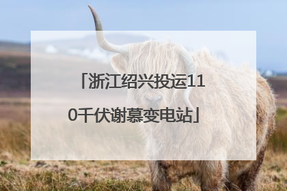 浙江绍兴投运110千伏谢慕变电站