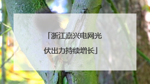 浙江嘉兴电网光伏出力持续增长