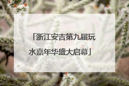 浙江安吉第九届玩水嘉年华盛大启幕