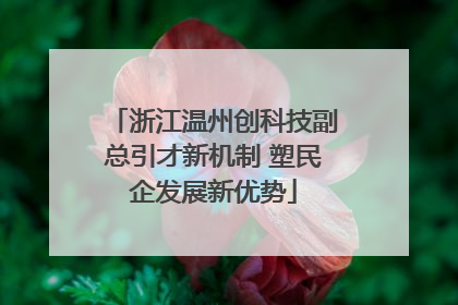 浙江温州创科技副总引才新机制 塑民企发展新优势