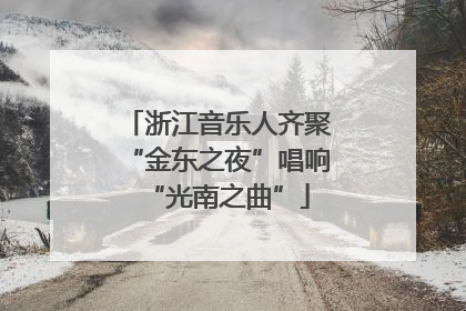 浙江音乐人齐聚“金东之夜”唱响“光南之曲”