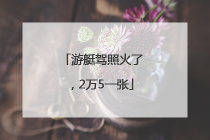 游艇驾照火了，2万5一张