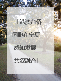 港澳台侨同胞在宁夏感知发展 共叙融合