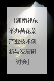 湖南祁东举办黄花菜产业技术创新与发展研讨会