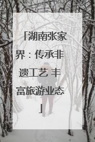 湖南张家界：传承非遗工艺 丰富旅游业态