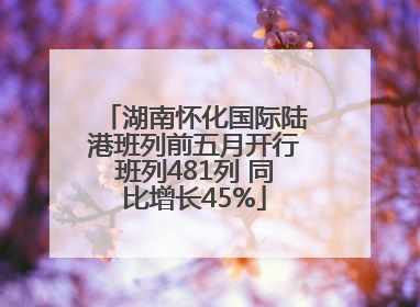 湖南怀化国际陆港班列前五月开行班列481列 同比增长45%