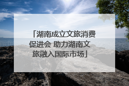 湖南成立文旅消费促进会 助力湖南文旅融入国际市场