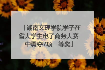湖南文理学院学子在省大学生电子商务大赛中勇夺7项一等奖
