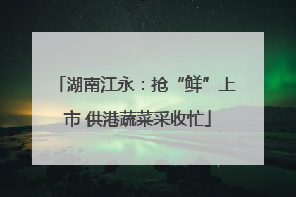 湖南江永：抢“鲜”上市 供港蔬菜采收忙