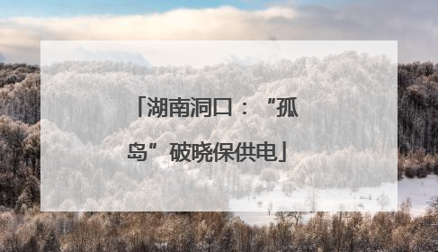 湖南洞口：“孤岛”破晓保供电