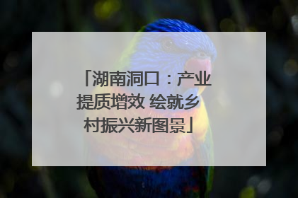 湖南洞口：产业提质增效 绘就乡村振兴新图景