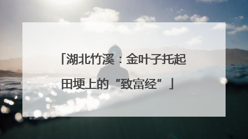 湖北竹溪：金叶子托起田埂上的“致富经”