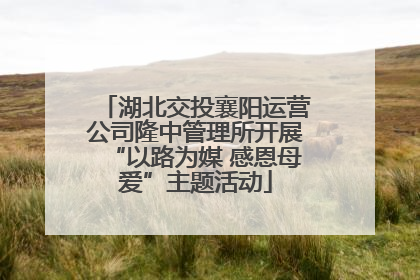 湖北交投襄阳运营公司隆中管理所开展“以路为媒 感恩母爱”主题活动