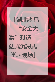 湖北孝昌：“安全大集”打造一站式沉浸式学习现场