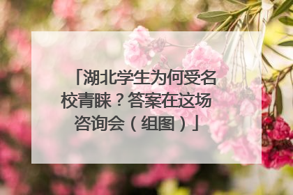 湖北学生为何受名校青睐？答案在这场咨询会（组图）