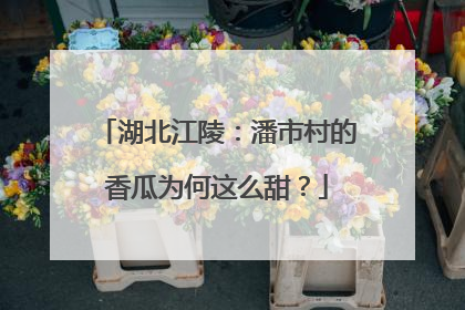 湖北江陵：潘市村的香瓜为何这么甜？