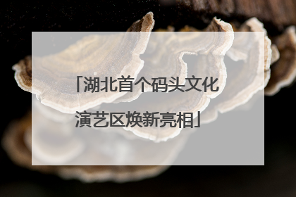 湖北首个码头文化演艺区焕新亮相