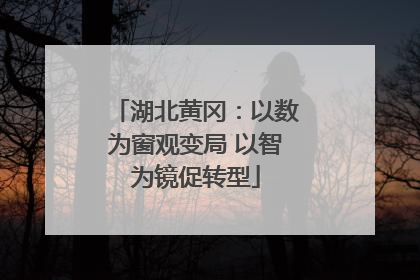 湖北黄冈：以数为窗观变局 以智为镜促转型