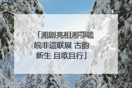 湘剧亮相湘鄂赣皖非遗联展 古韵新生 且歌且行