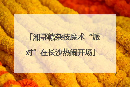 湘鄂赣杂技魔术“派对”在长沙热闹开场