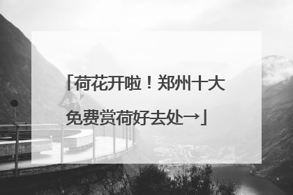 荷花开啦！郑州十大免费赏荷好去处→