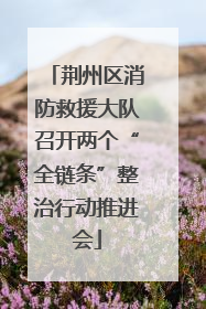 荆州区消防救援大队召开两个“全链条”整治行动推进会