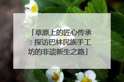 草原上的匠心传承：探访巴林民族手工坊的非遗新生之路