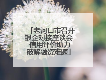 老河口市召开银企对接座谈会 信用评价助力破解融资难题