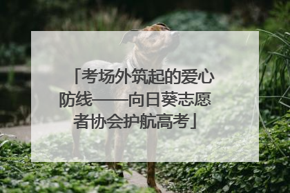 考场外筑起的爱心防线——向日葵志愿者协会护航高考