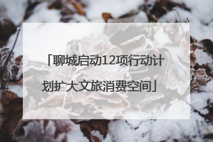 聊城启动12项行动计划扩大文旅消费空间