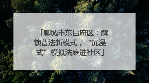 聊城市东昌府区：解锁普法新模式，“沉浸式”模拟法庭进社区
