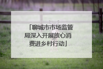 聊城市市场监管局深入开展放心消费进乡村行动