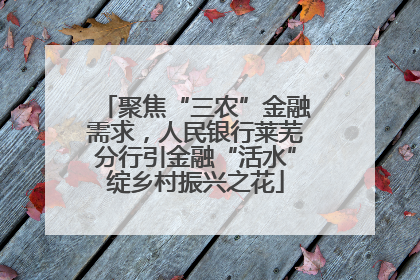 聚焦“三农”金融需求，人民银行莱芜分行引金融“活水”绽乡村振兴之花