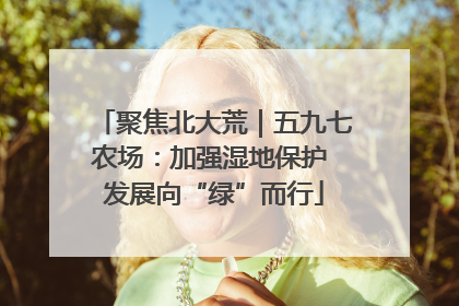 聚焦北大荒｜五九七农场：加强湿地保护 发展向“绿”而行