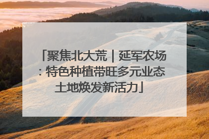 聚焦北大荒｜延军农场：特色种植带旺多元业态 土地焕发新活力
