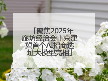 聚焦2025年廊坊经洽会丨京津冀首个AI招商选址大模型亮相