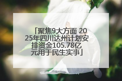 聚焦9大方面 2025年四川达州计划安排资金105.78亿元用于民生实事