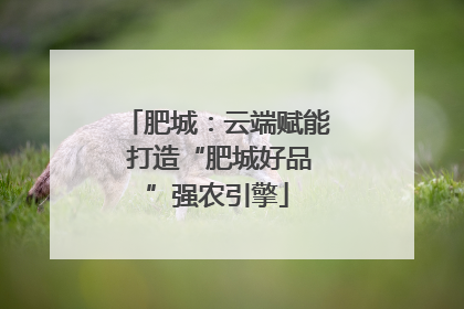 肥城：云端赋能 打造“肥城好品”强农引擎