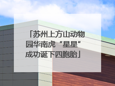 苏州上方山动物园华南虎“星星”成功诞下四胞胎