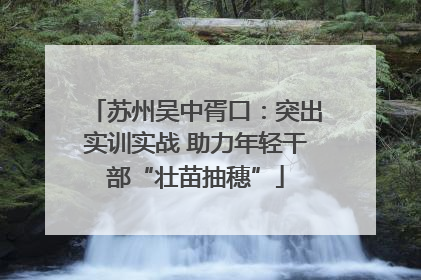 苏州吴中胥口：突出实训实战 助力年轻干部“壮苗抽穗”