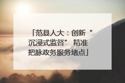 范县人大：创新“沉浸式监督” 精准把脉政务服务堵点